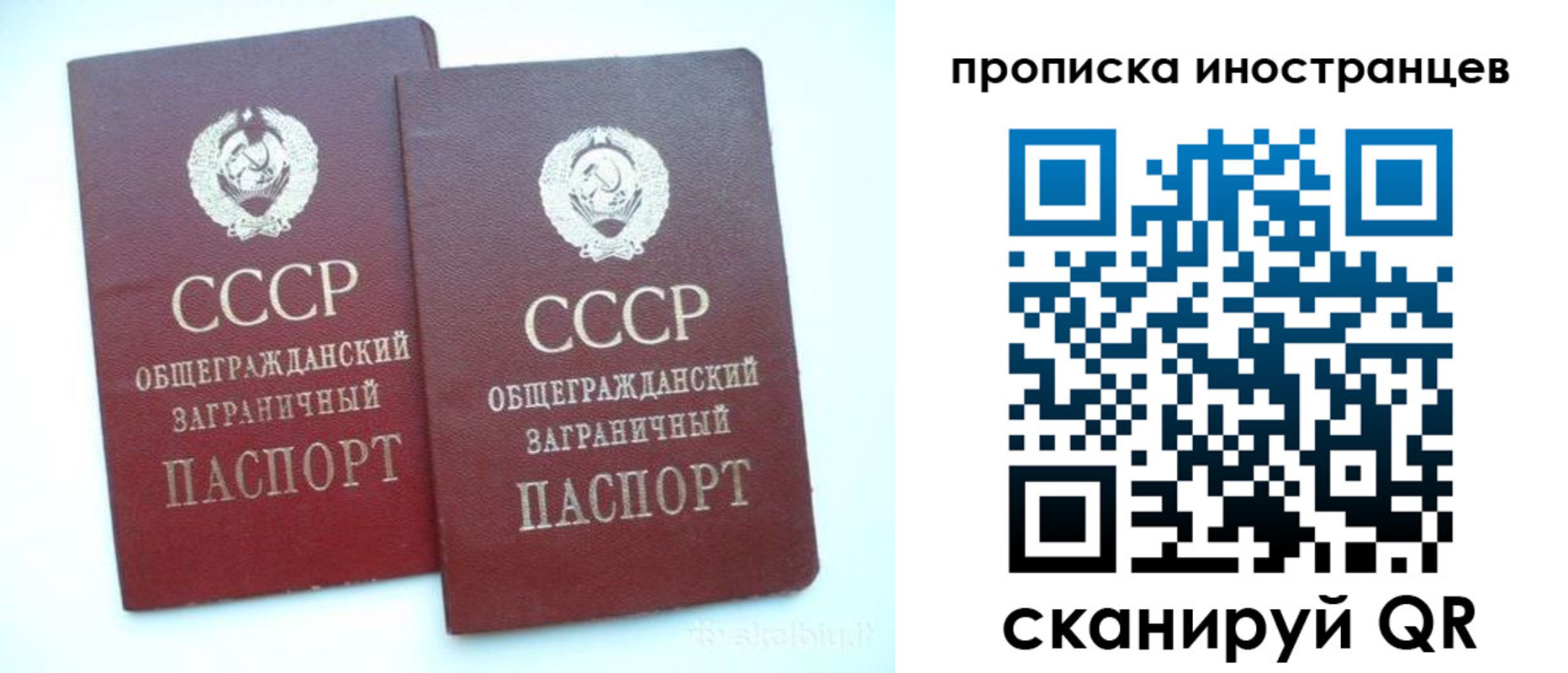 временная регистрация госуслуги в Сафоново